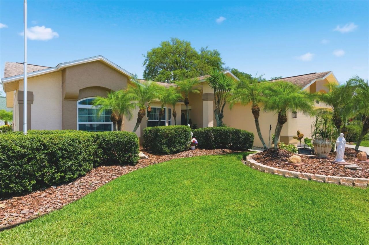 5408 Saltamonte Drive, New Port Richey, FL 34655 Photo
