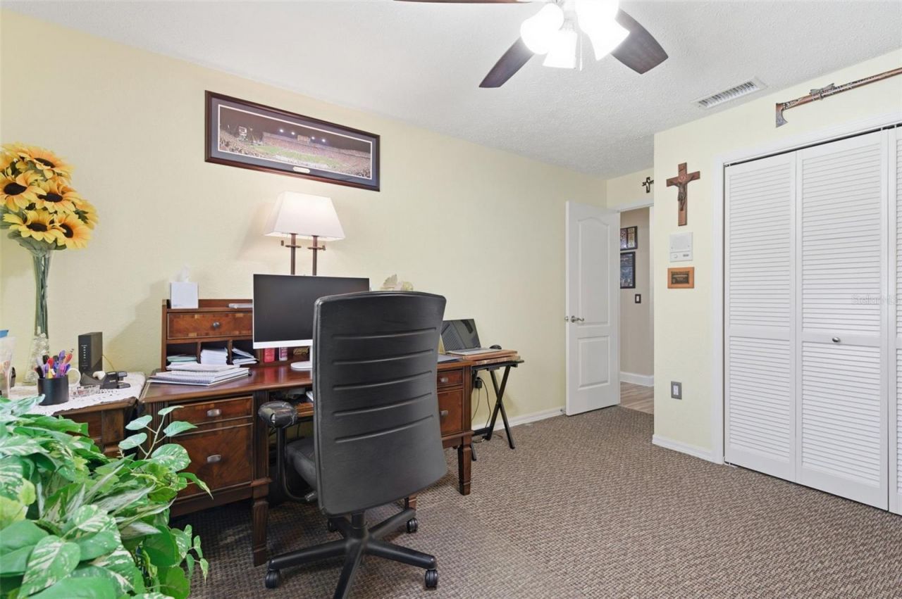 5408 Saltamonte Drive, New Port Richey, FL 34655 Photo