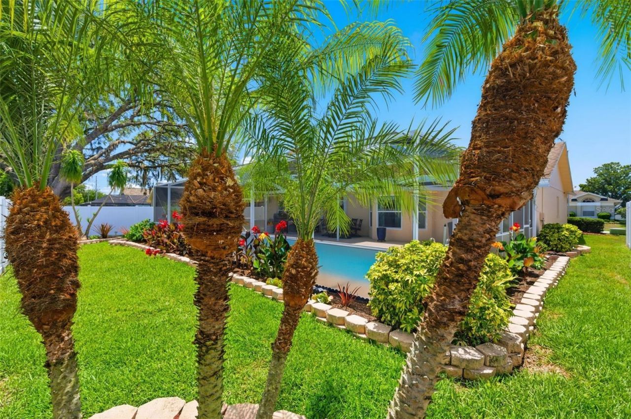 5408 Saltamonte Drive, New Port Richey, FL 34655 Photo