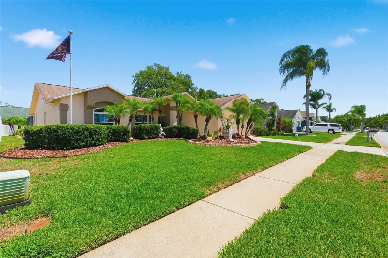 5408 Saltamonte Drive, New Port Richey, FL 34655 Photo