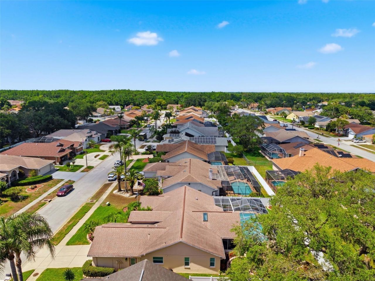 5408 Saltamonte Drive, New Port Richey, FL 34655 Photo