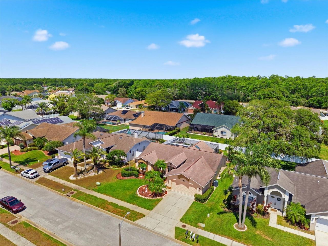 5408 Saltamonte Drive, New Port Richey, FL 34655 Photo