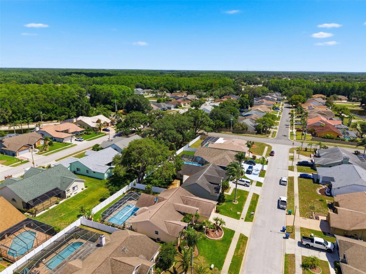 5408 Saltamonte Drive, New Port Richey, FL 34655 Photo