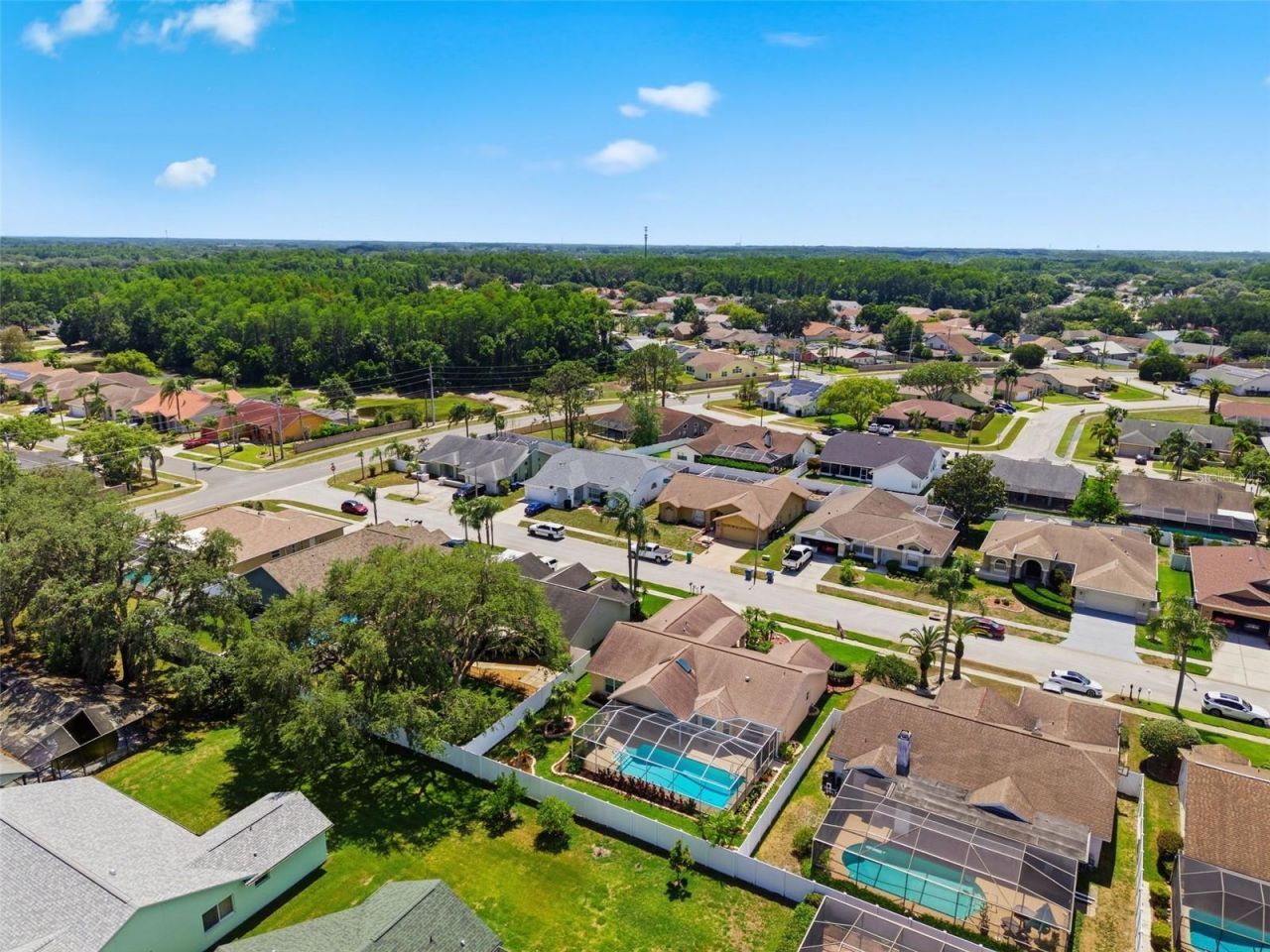5408 Saltamonte Drive, New Port Richey, FL 34655 Photo