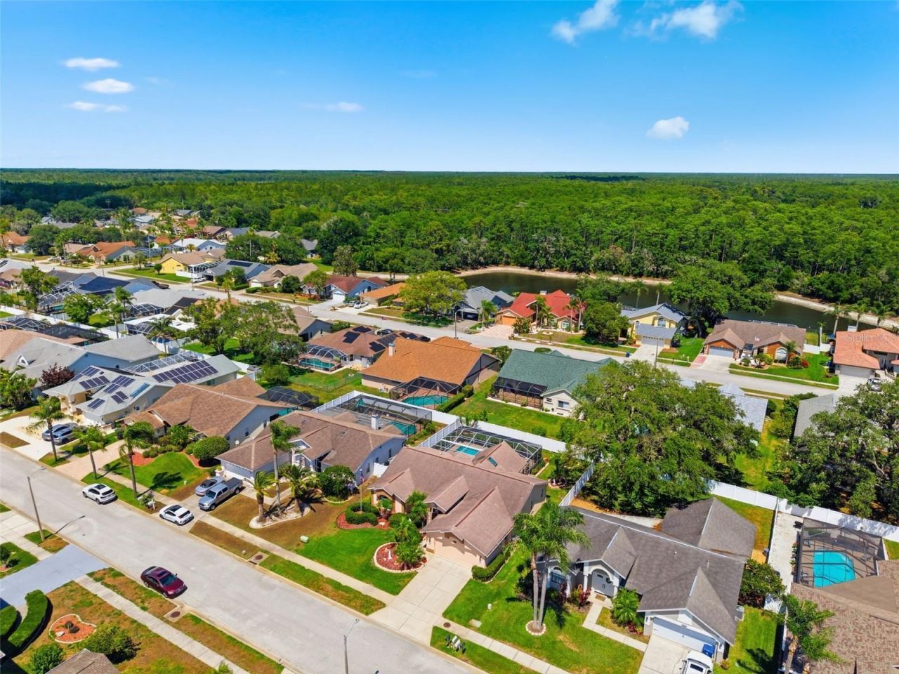 5408 Saltamonte Drive, New Port Richey, FL 34655 Photo