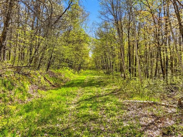W6474 River Road, Trego, WI 54888