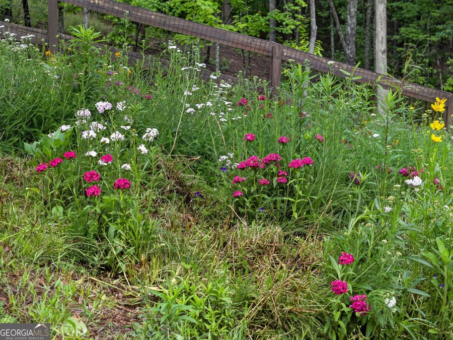Property Image 64