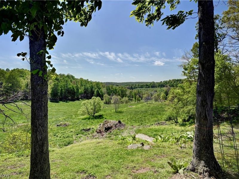 39843 County Road 33, Warsaw, OH 43844 Photo 49