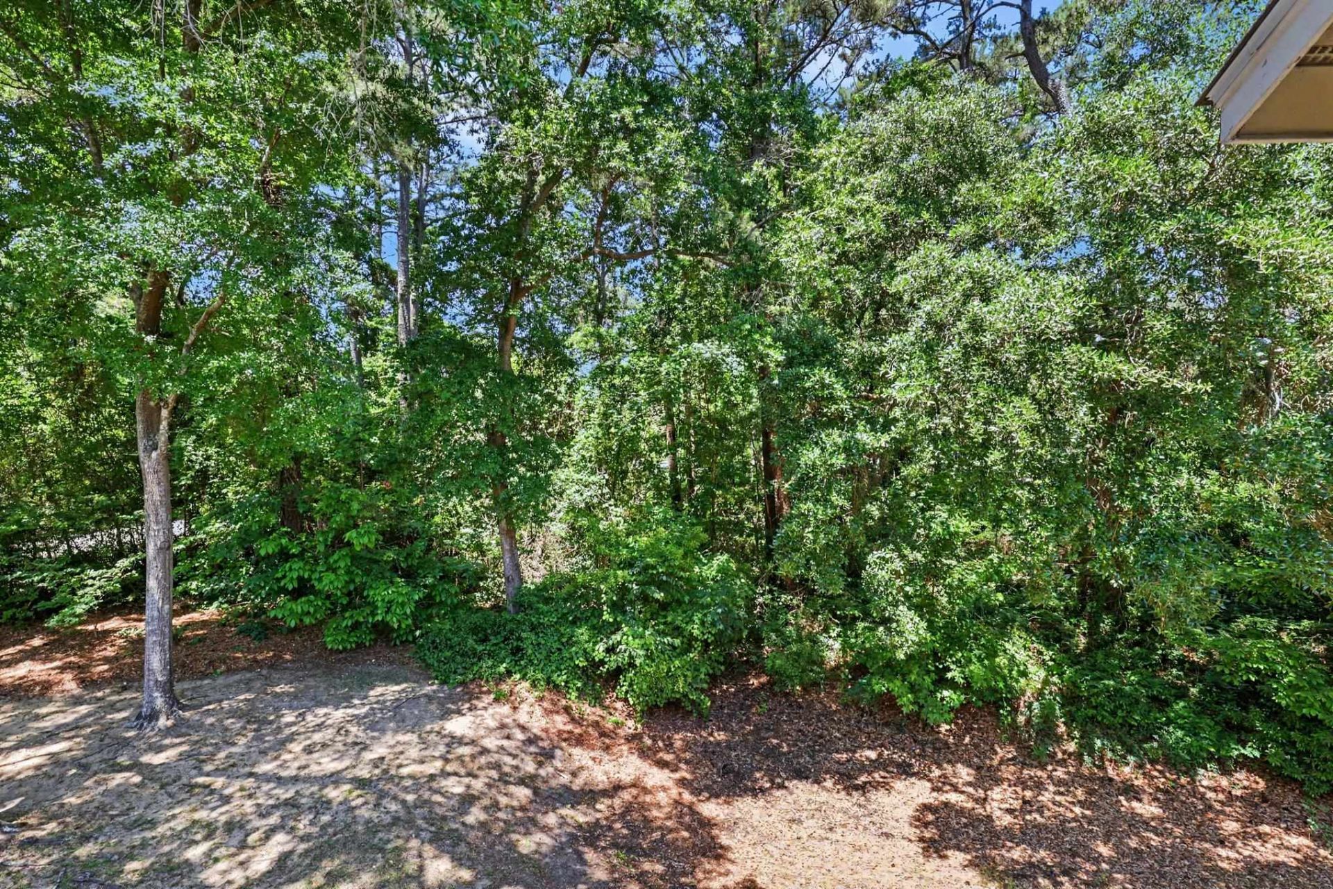 4840 Moss Creek Loop Photo 29