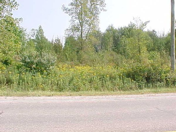 0 County Line Road, Casco, MI 48064