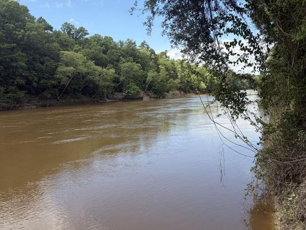 Ann Hinton Road, Beaumont, MS 39423