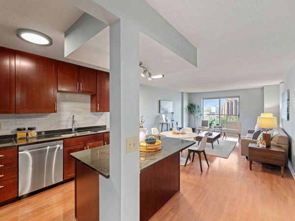 401 S 1st Street, Unit 1705, Minneapolis, MN 55401