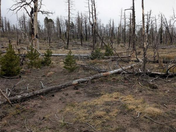 Lot 2296 Wohlstetter Loop , Fort Garland, CO 81133