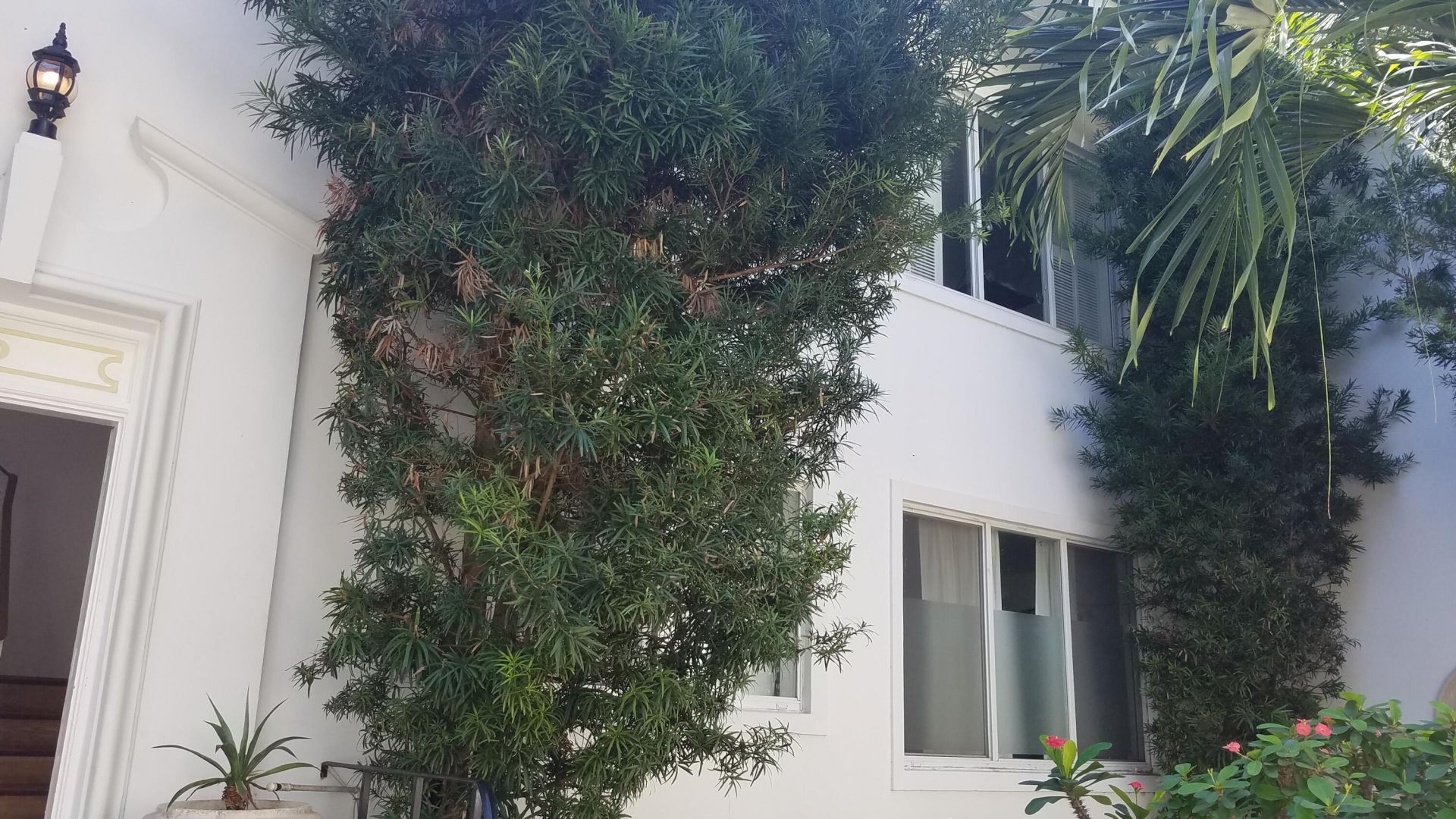 3921 N Meridian Avenue, Unit 4d, Miami Beach, FL 33140 Photo