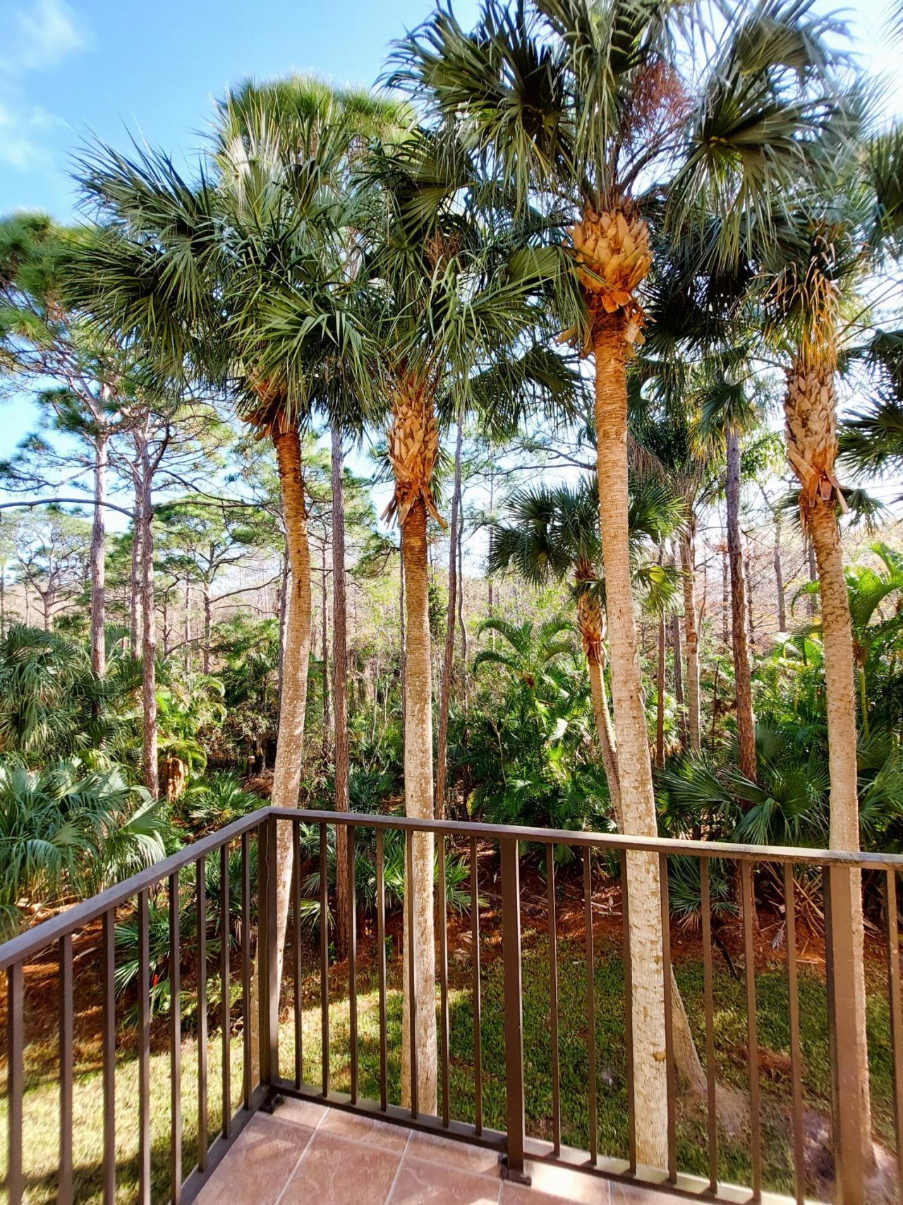12675 SE Old Cypress Drive, Unit 903, Hobe Sound, FL 33455 Photo
