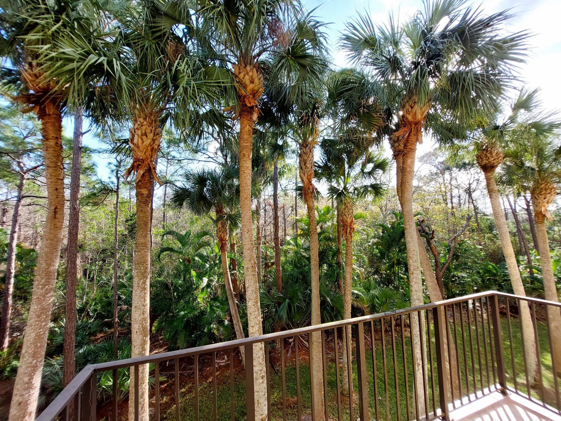 12675 SE Old Cypress Drive, Unit 903, Hobe Sound, FL 33455 Photo