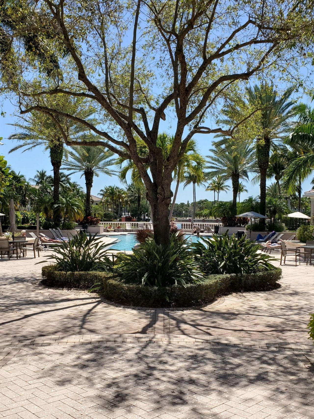2804 Sarento Place, Unit 113, Palm Beach Gardens, FL 33410 Photo