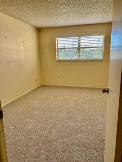 7960 Sunrise Lakes Drive N, Unit 205, Sunrise, FL 33322 Photo