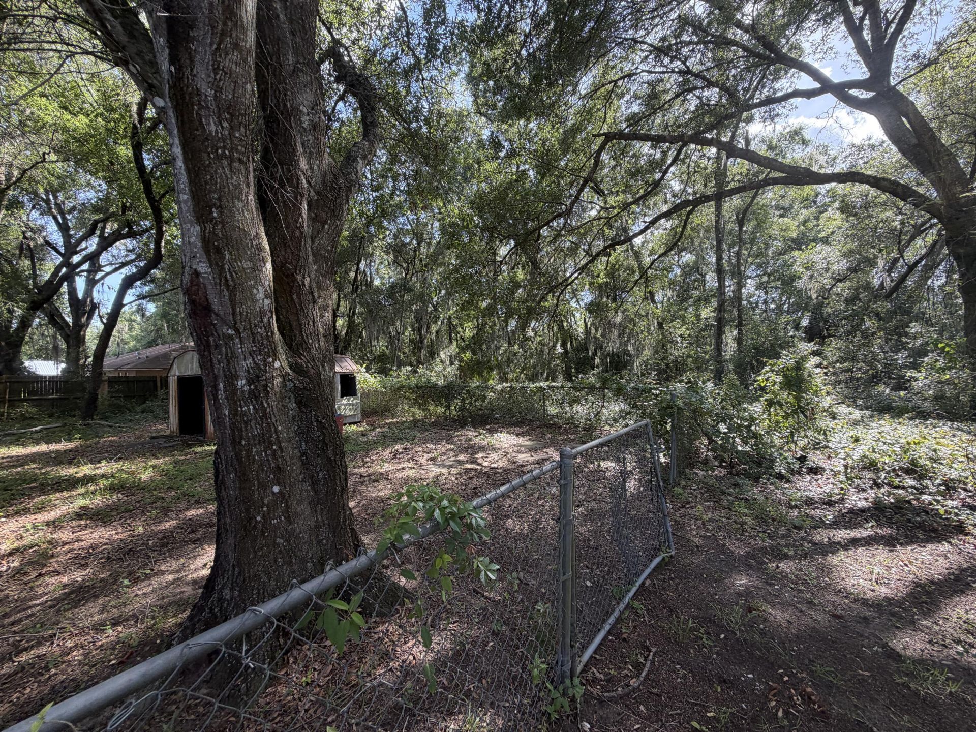 3920 E Allendale Street, Inverness, FL 34453 Photo