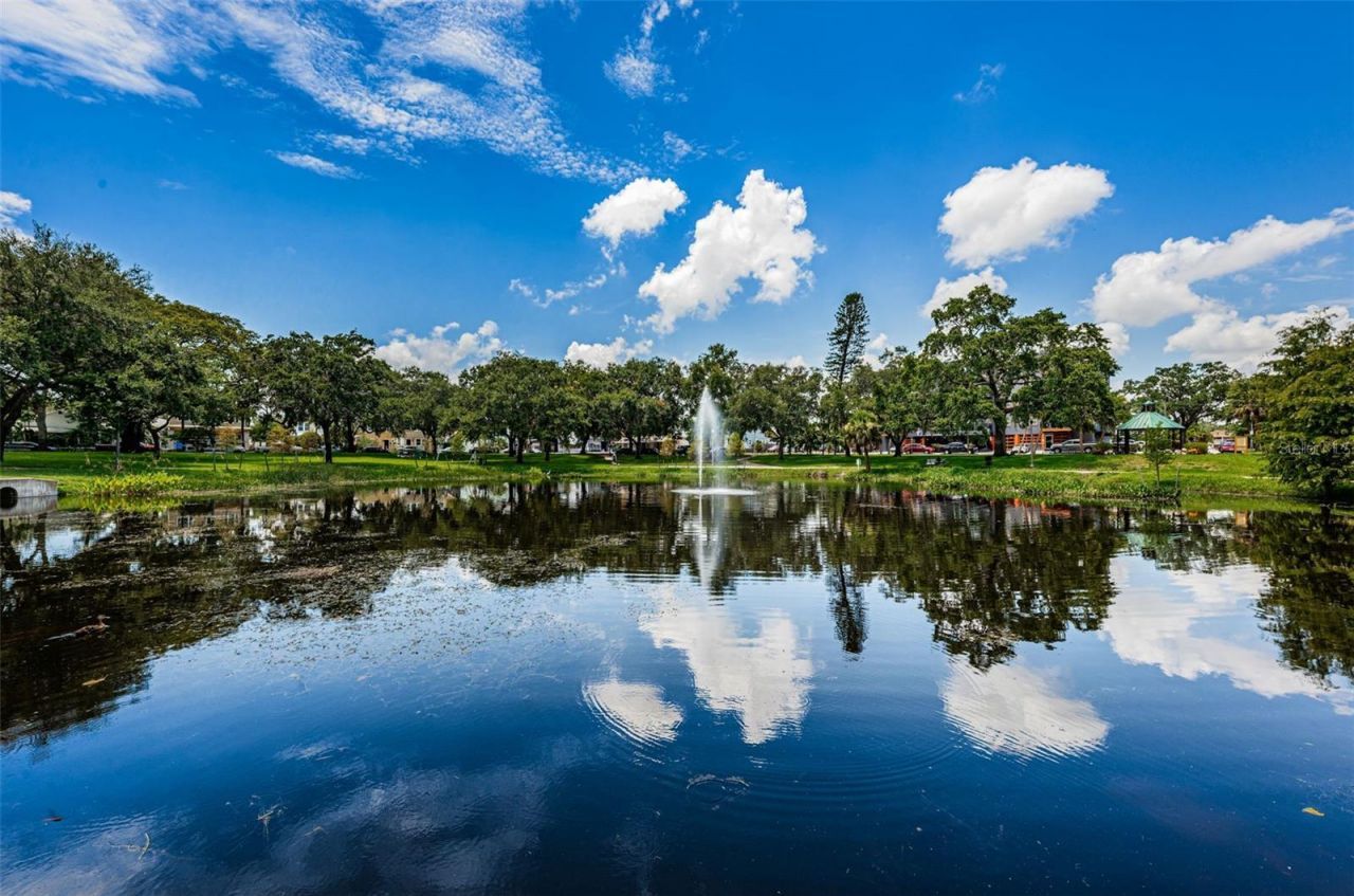 547 15th Street N, Saint Petersburg, FL 33705 Photo