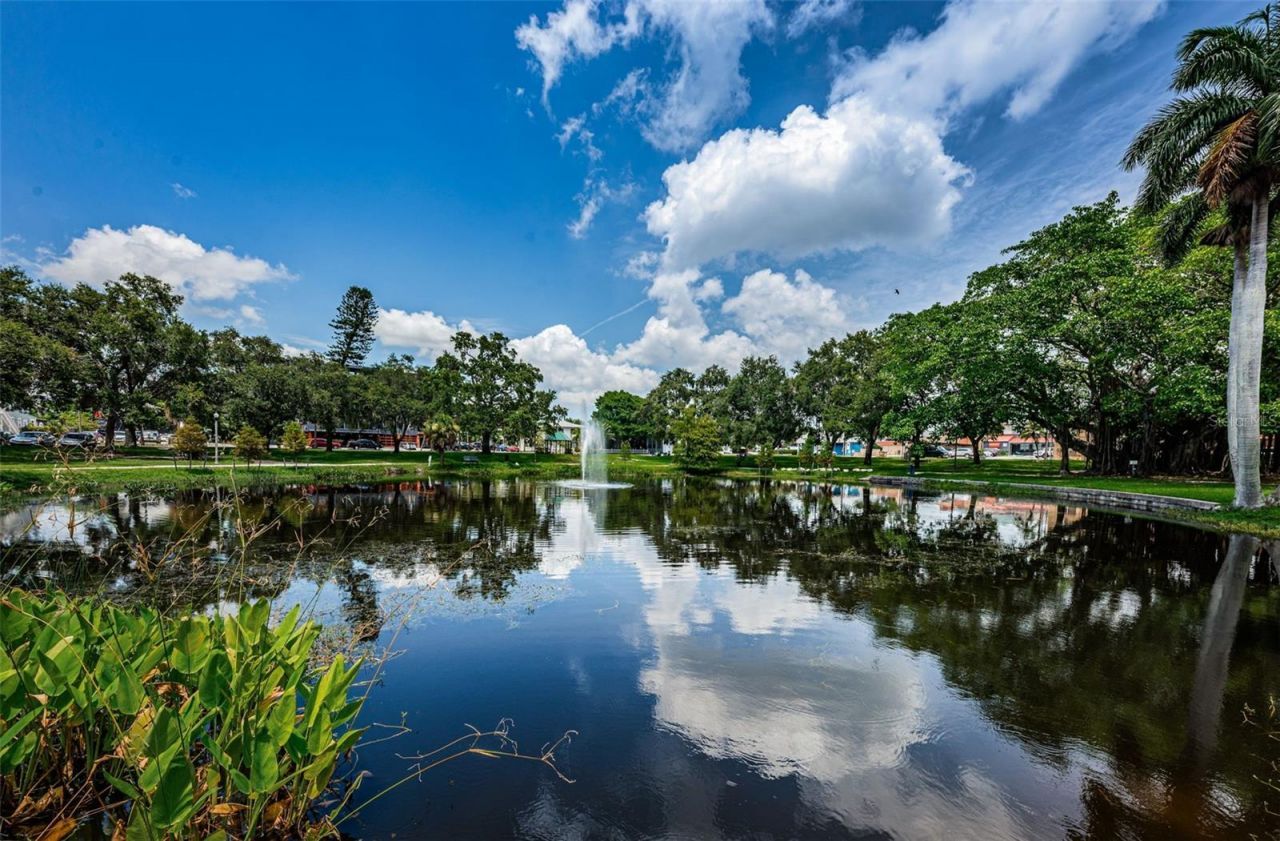 547 15th Street N, Saint Petersburg, FL 33705 Photo