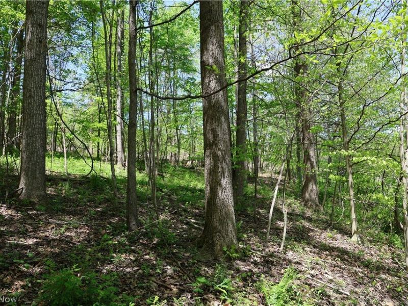 County Road 33, Warsaw, OH 43844 Photo 3