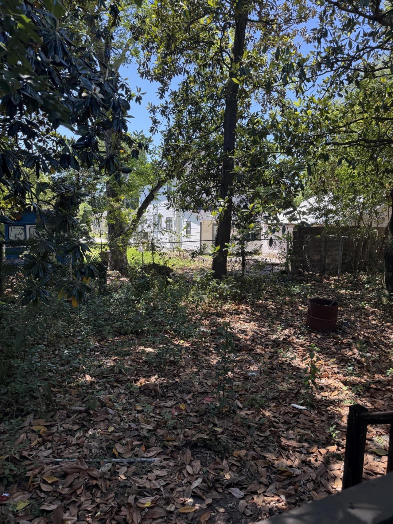 1811 Carlton Street Photo 7