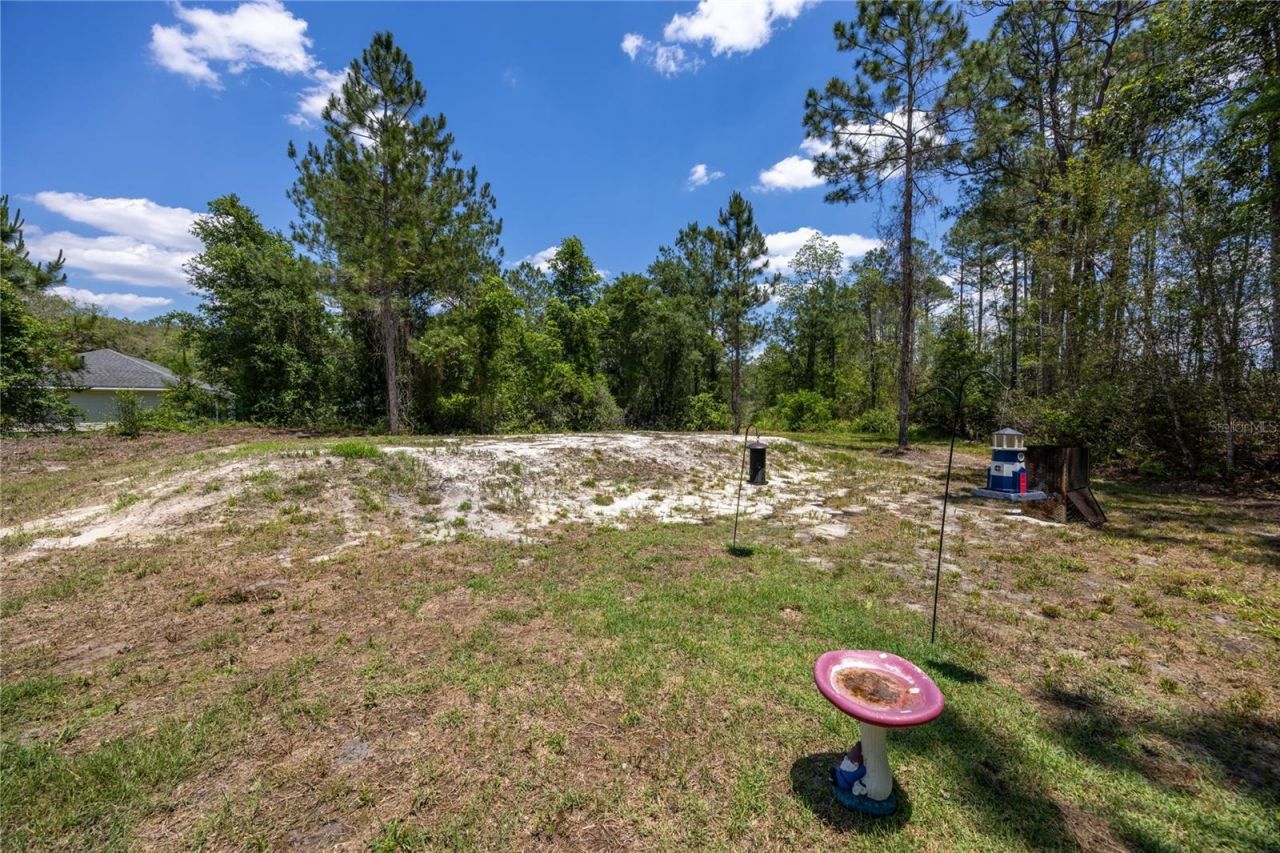 9025 SE County Road 221, Hampton, FL 32044 Photo