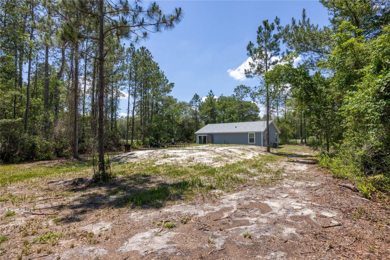 9025 SE County Road 221, Hampton, FL 32044 Photo