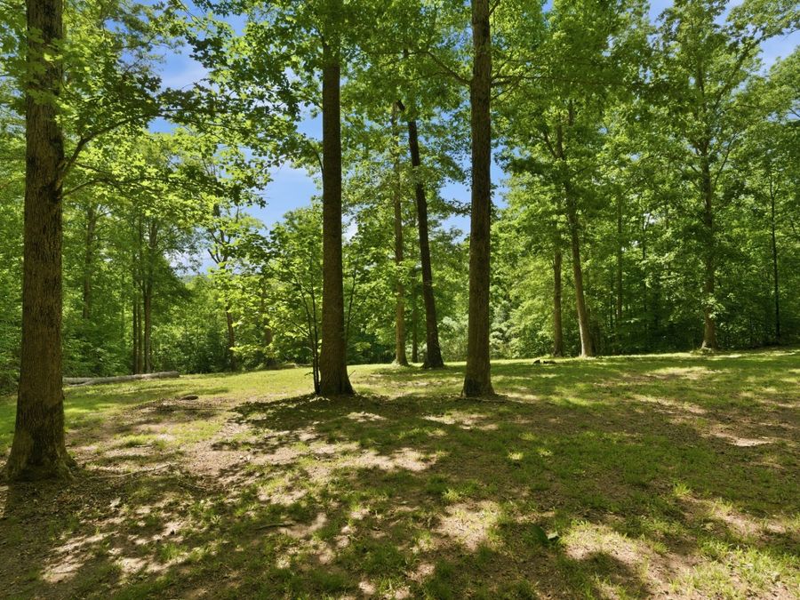 Property Image 51