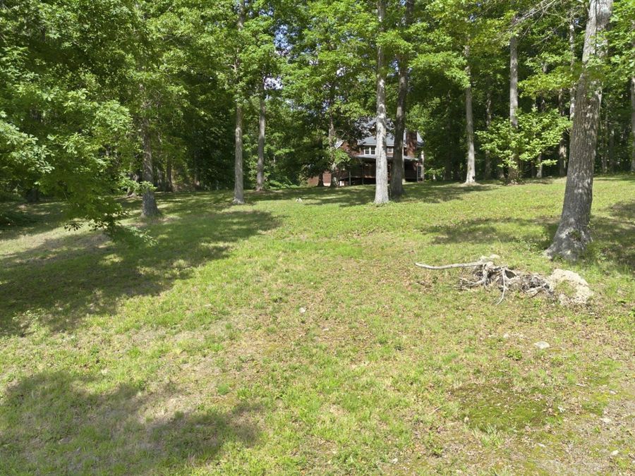 Property Image 53