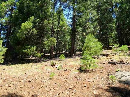 782 Lassen View Drive, Lake Almanor, CA 96137 Photo