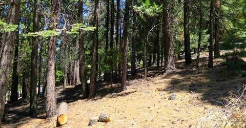 782 Lassen View Drive, Lake Almanor, CA 96137 Photo