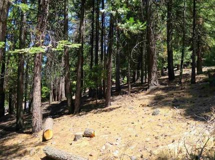 782 Lassen View Drive, Lake Almanor, CA 96137 Photo