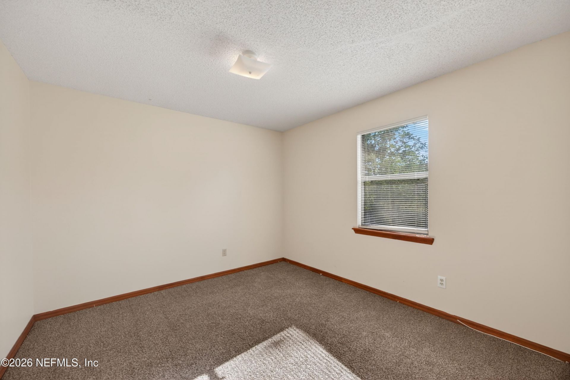 8341 Fire Fly Lane, Jacksonville, FL 32244 Photo