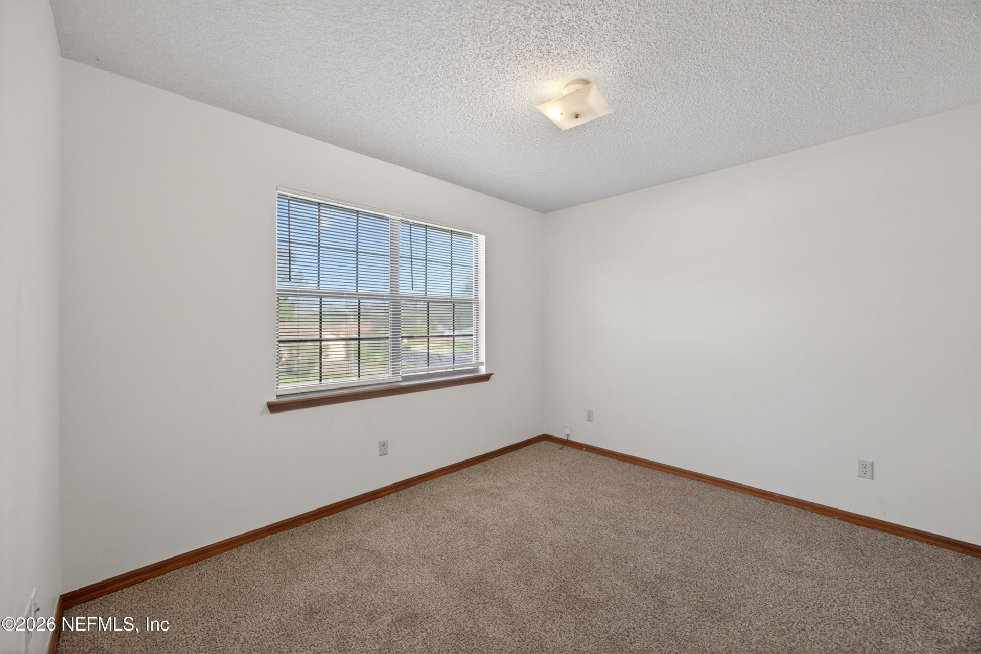 8341 Fire Fly Lane, Jacksonville, FL 32244 Photo