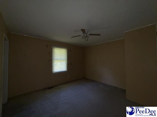 2398 Hotel St Photo 10