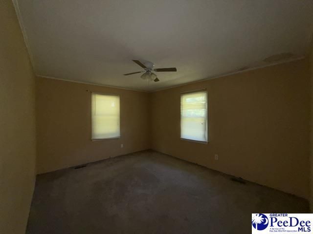 2398 Hotel St Photo 11