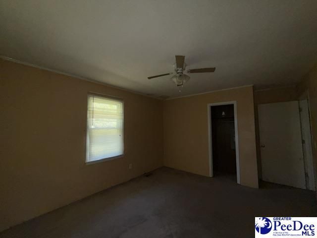 2398 Hotel St Photo 12