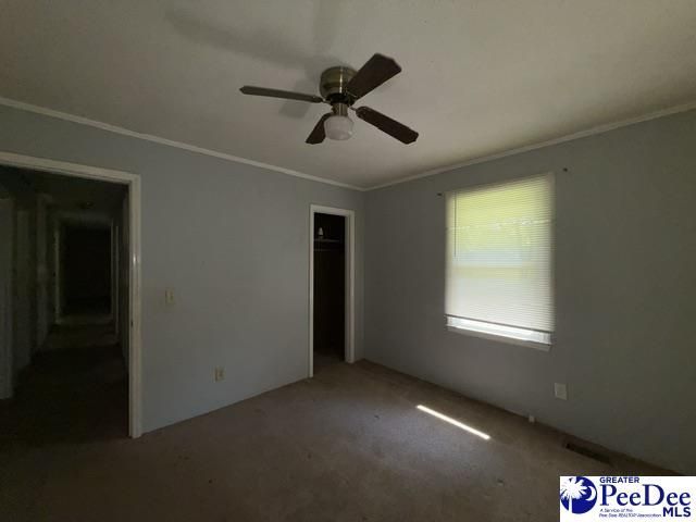 2398 Hotel St Photo 14