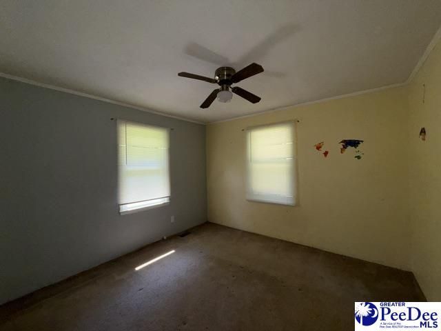 2398 Hotel St Photo 15