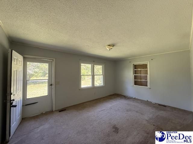2398 Hotel St Photo 4