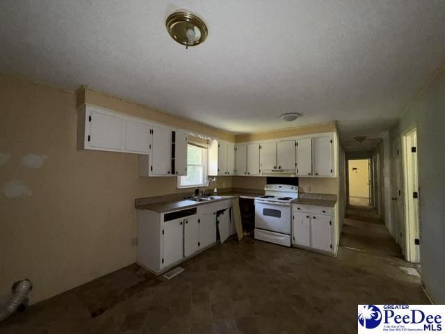 2398 Hotel St Photo 6