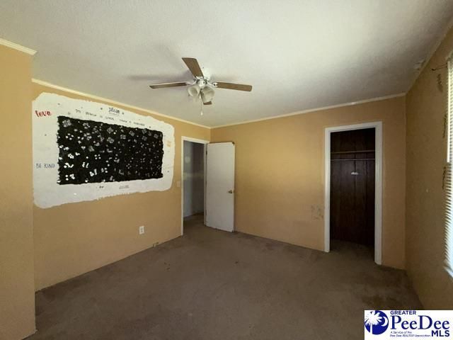 2398 Hotel St Photo 9