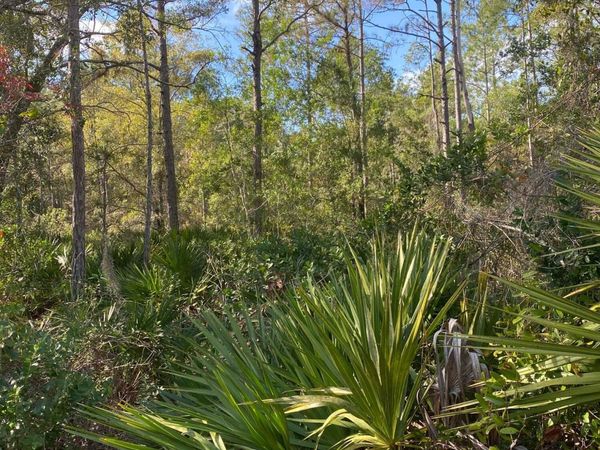 820 Old Bubbly Road, Pierson, FL 32180