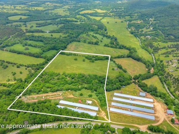 6112 Highway 21 , Berryville, AR 72616
