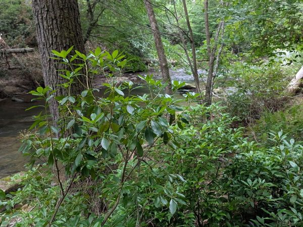 LOT 32 Byers Road, Blairsville, GA 30512
