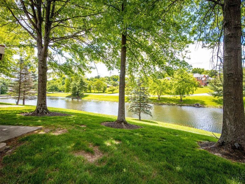 3170 Lakepointe Court, Unit 34, Cincinnati, OH 45248 Photo 56