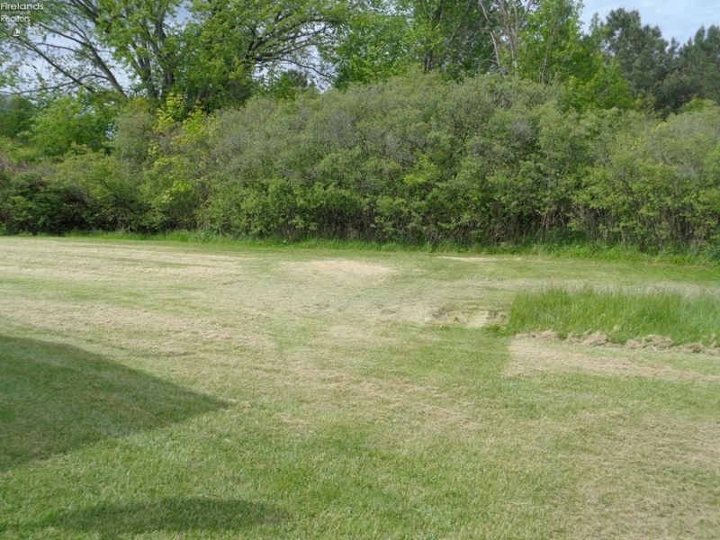 1246 Greenfield Drive, Willard, OH 44890 Photo 4