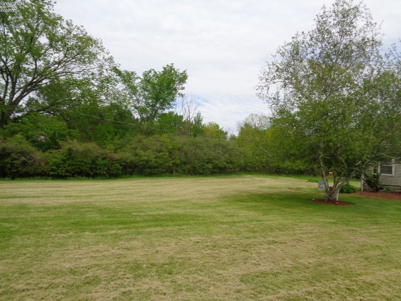 1246 Greenfield Drive, Willard, OH 44890 Photo 5